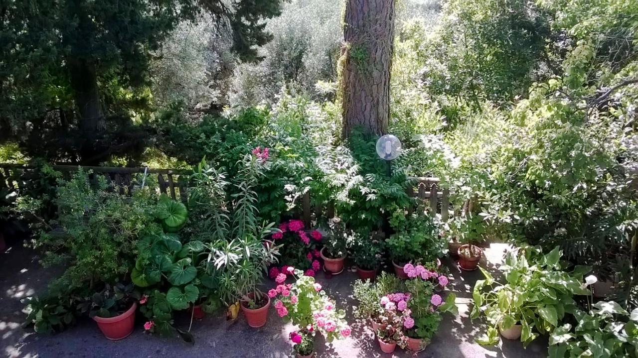 テッラチーナA Casa Di Carlaアパートメント エクステリア 写真